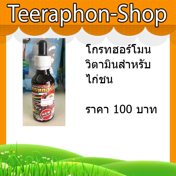 โกรทฮอร์โมน วิตามินสำหรับไก่ชน