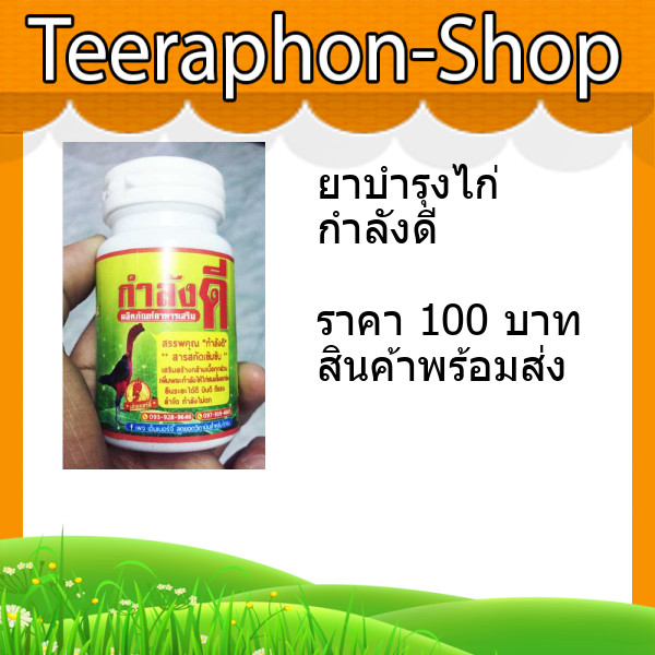 ยาบำรุงไก่ชน กำลังดี